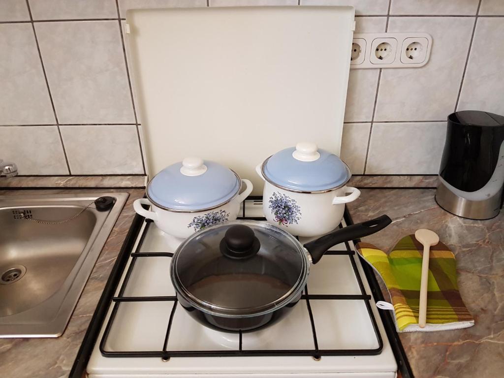 Kuchyňa alebo kuchynka v ubytovaní Apartman Kaszás Central