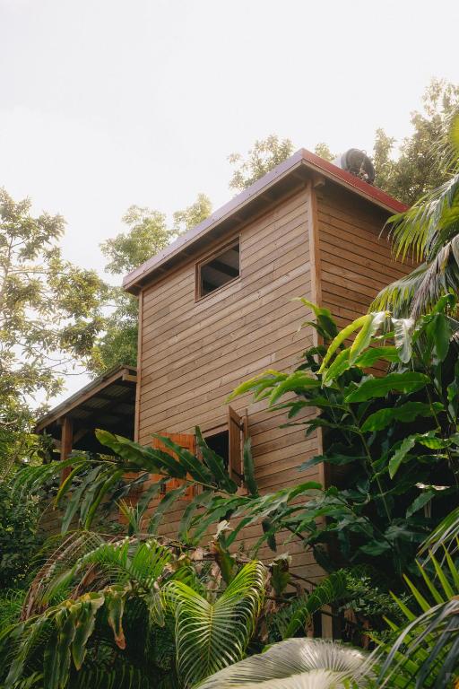 a wooden house with a window on the side of it at Banana Cottage Ecolodge & Spa in Le Gosier