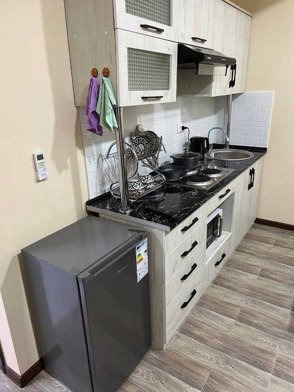 لابی و فضای عمومی Tashkent apart hotel - تصویر ۵