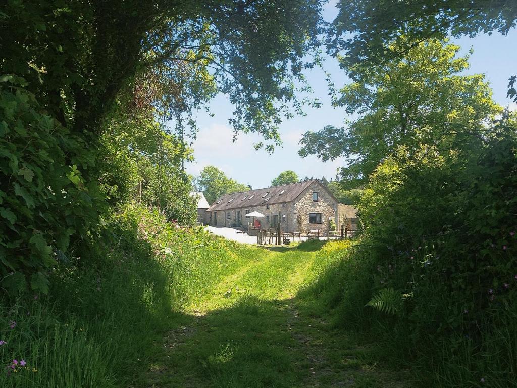 a house in the middle of a field with a dirt road at The Nook in Amroth