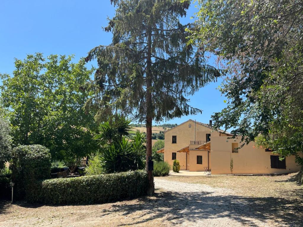 a house with a tree in the middle of a yard at Vineyard Farmhouse in Massignano in Massignano