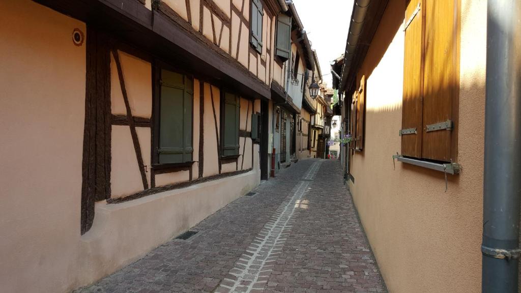 Le Dolder Gîte de Luxe classé 4 étoiles au coeur des remparts de Riquewihr - Animaux de compagnie acceptés – photo 14