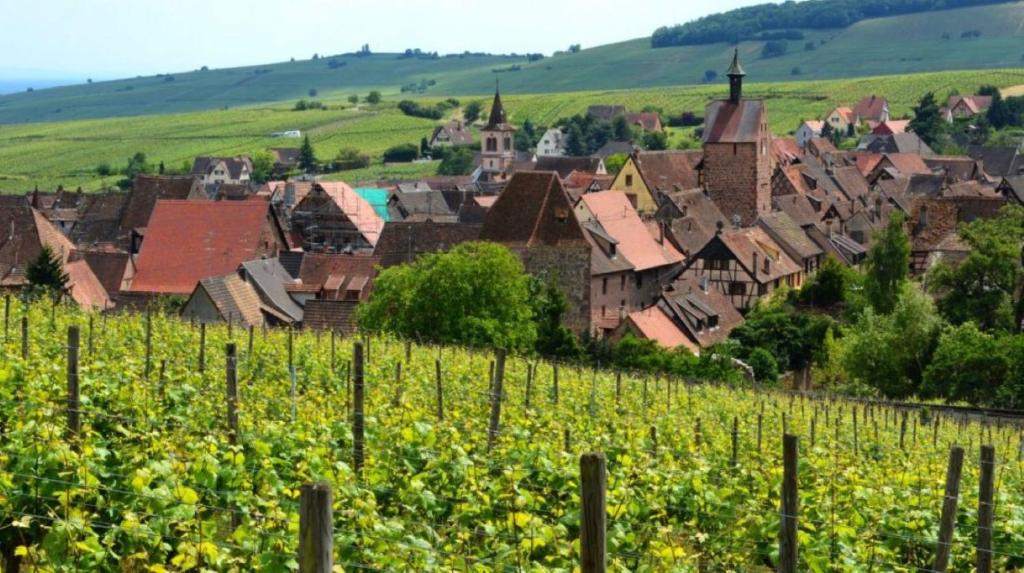 Le Dolder Gîte de Luxe classé 4 étoiles au coeur des remparts de Riquewihr - Animaux de compagnie acceptés – photo 32