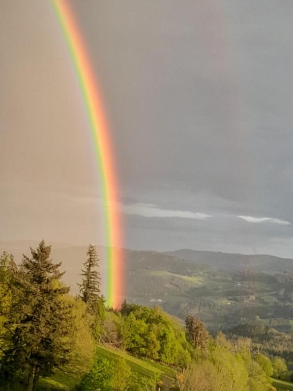 Peisaj natural din apropierea acestui B&B