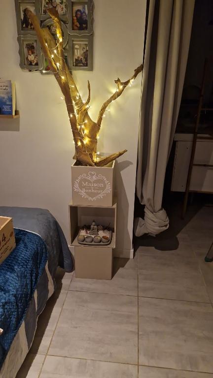 a table with a box of shoes in a room at Harmonie in Blésignac