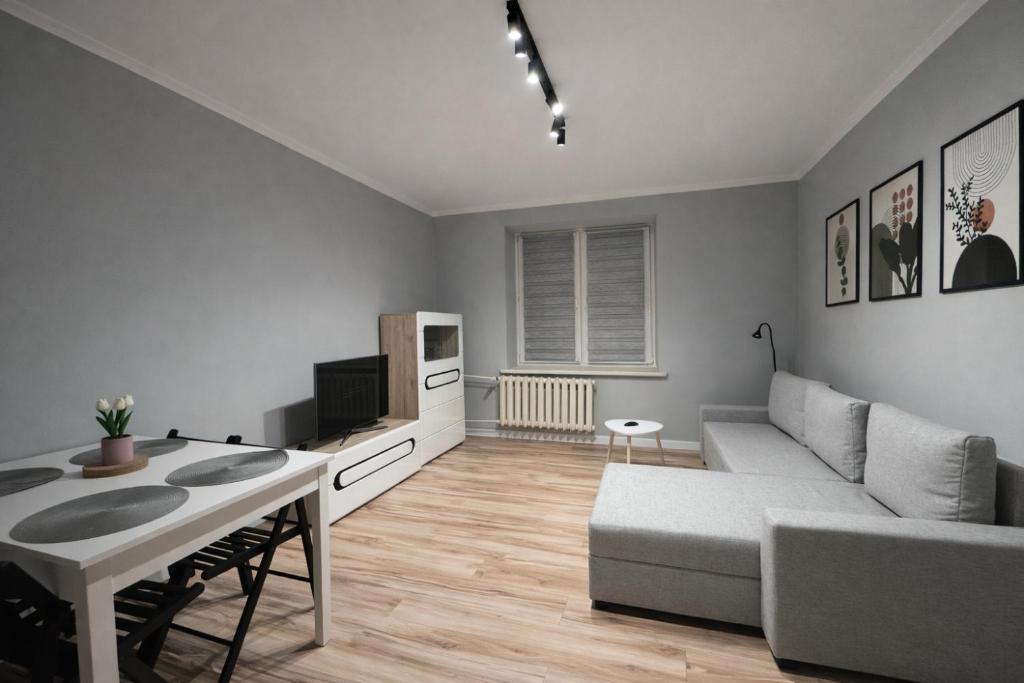 a living room with a couch and a table at Apartament Centrum in Płock