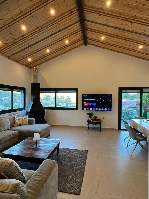 a living room with a couch and a fireplace at Kalidoniahouses in Perapedhi