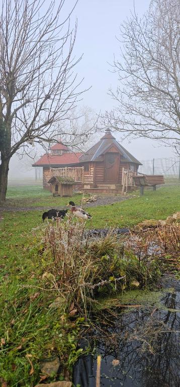 a wooden cabin in a field next to a pond at Nuit insolite, repas autour du feu piscine sauna jaccuzi in Azerailles