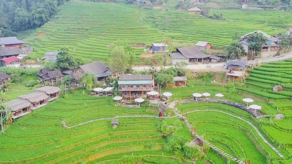 an aerial view of a village in a field at lúa Cafe Eco Lodge in Sapa