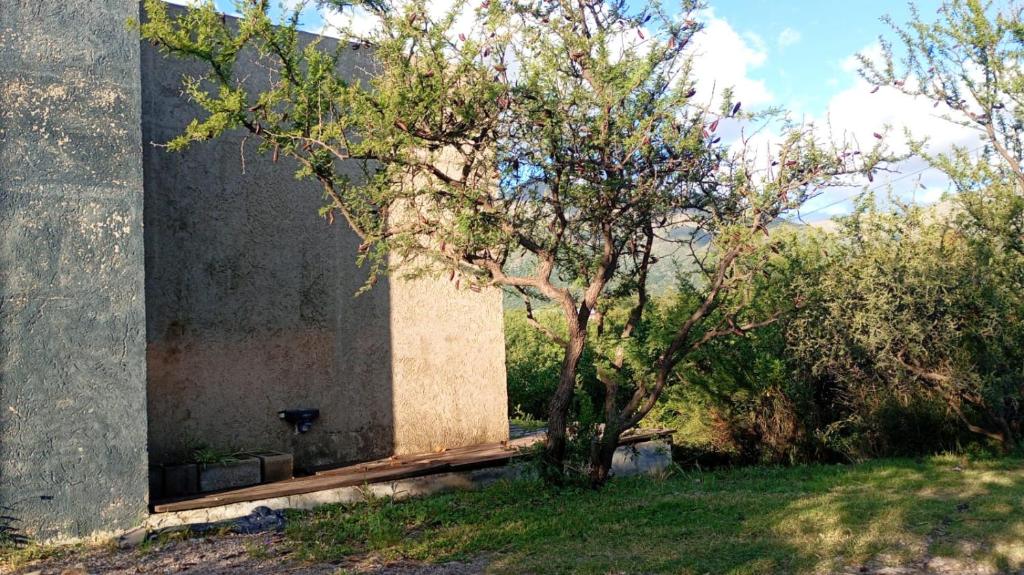 a tree in front of a building next to a building at Uritorco Flats in Capilla del Monte