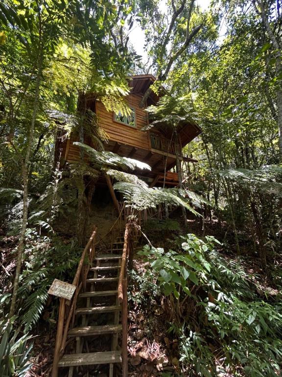 a tree house in the middle of a forest at Casa na Árvore in Rio dos Bugres