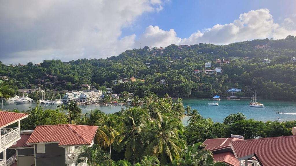 Cabin in the hillside Marigot Bay