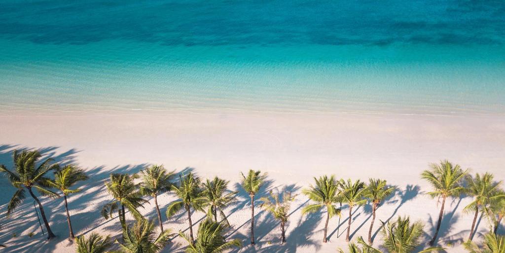 a view of a beach with palm trees and the ocean at El Centro Beach Resort Boracay in Boracay