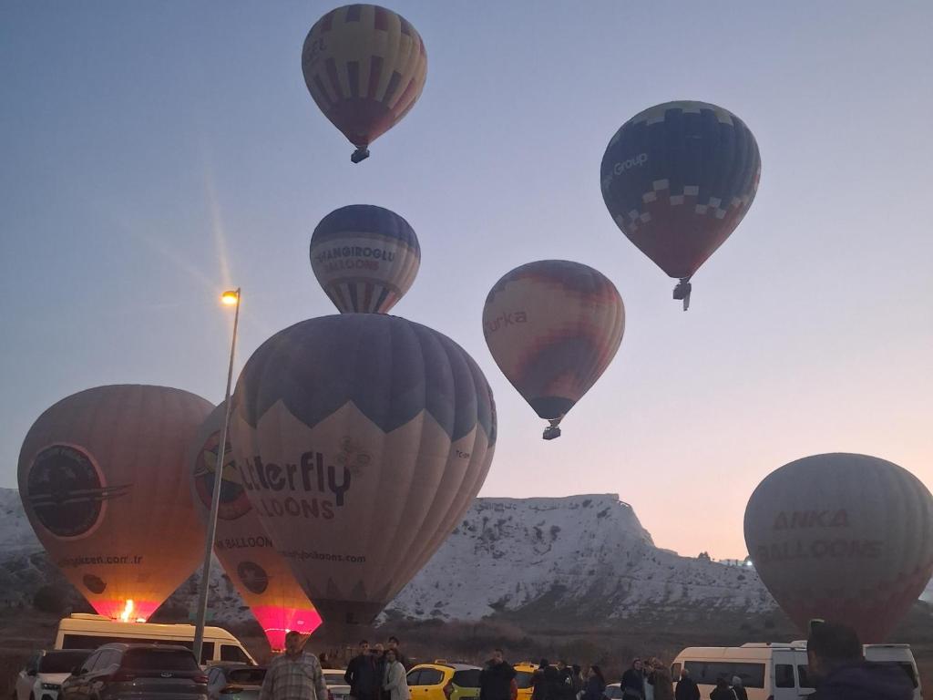 The Titanic House - 18