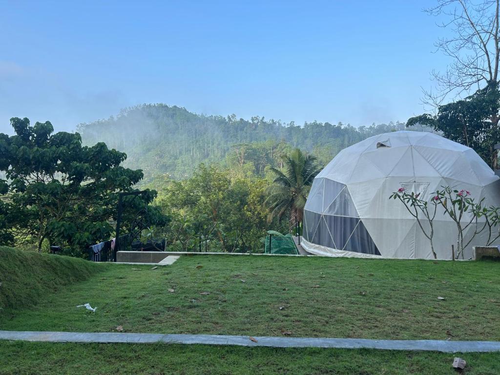 a white tent in a field with a mountain in the background at Sinharaja Geo Dome in Nelluwa