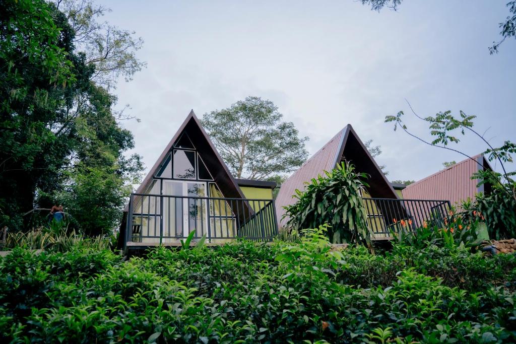 two cottages in the middle of a forest at Nagalakanda Eco Lodge in Millewa
