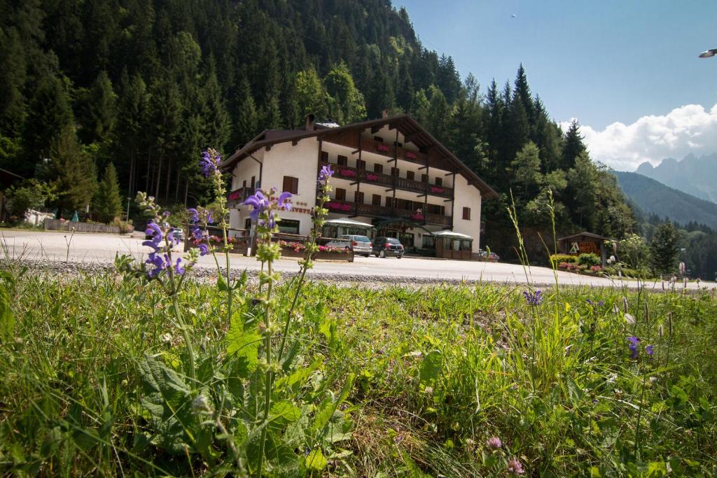 Příroda nedaleko hotelu