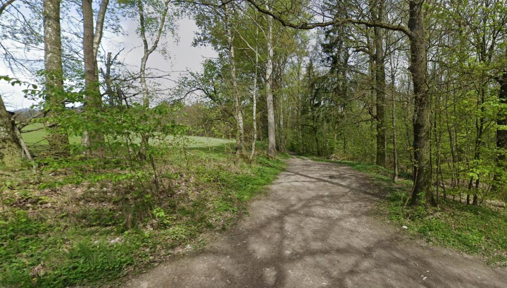 a dirt road through a forest with trees at Kousek země pro tvůj stan in Cheb