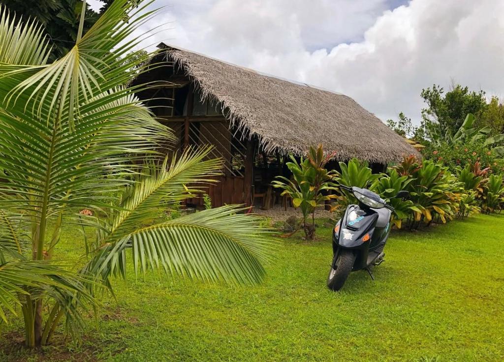 Fare Tearenui - photo 3 - Huahine, Polynésie