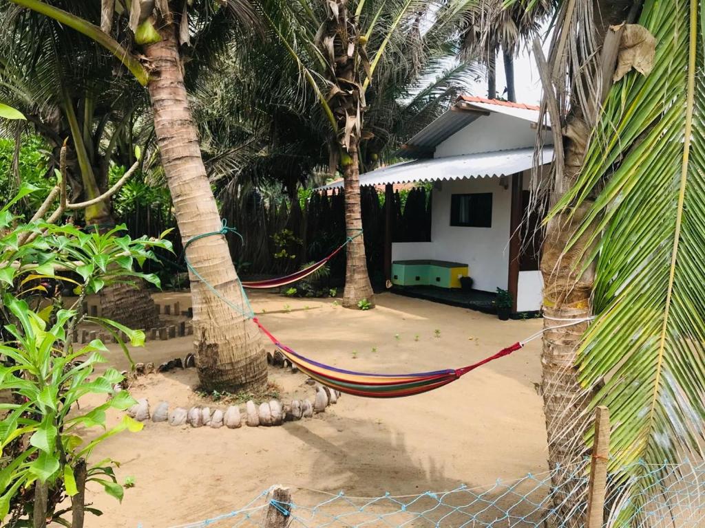 a hammock between two palm trees in front of a house at Rooms at Maduka Restaurant in Ilandaiyadi