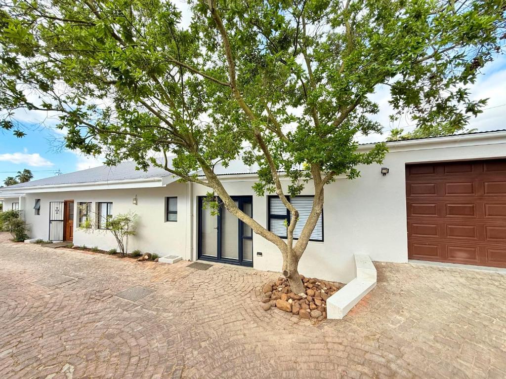 a tree in front of a white house with a garage at Die Stal in Wellington