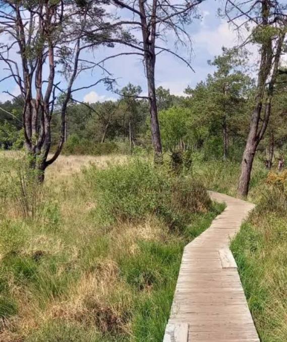 Un morceau de terrain pour ta tente