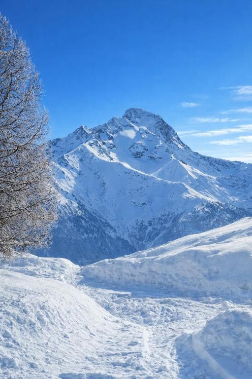 Le Chalet – photo 20