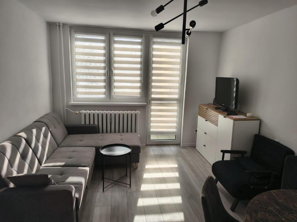 a living room with a couch and a tv at Apartament w Biłgoraju in Biłgoraj
