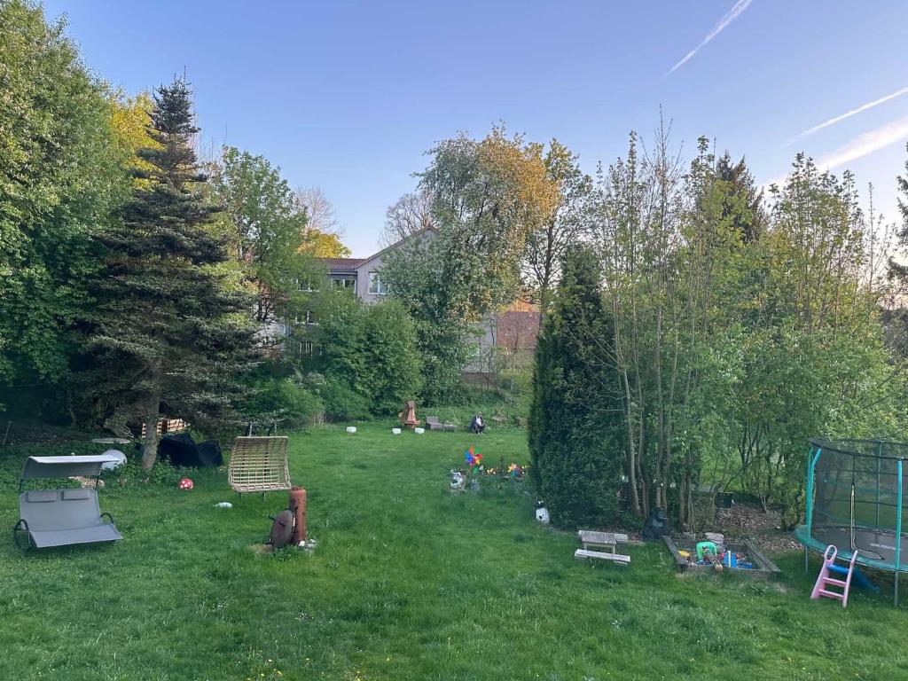 a grassy yard with a group of trees in a yard at Ferienwohnung Silbergarten in Clausthal-Zellerfeld