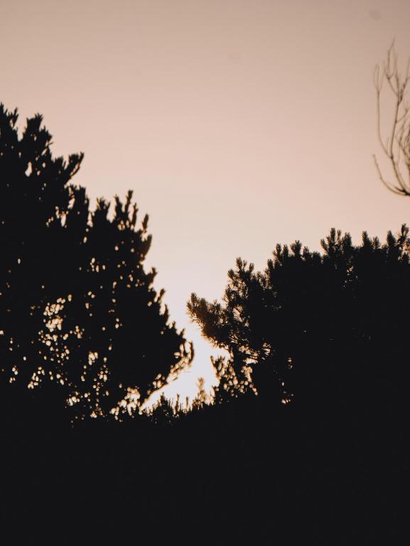 Serena - Tini Houses -