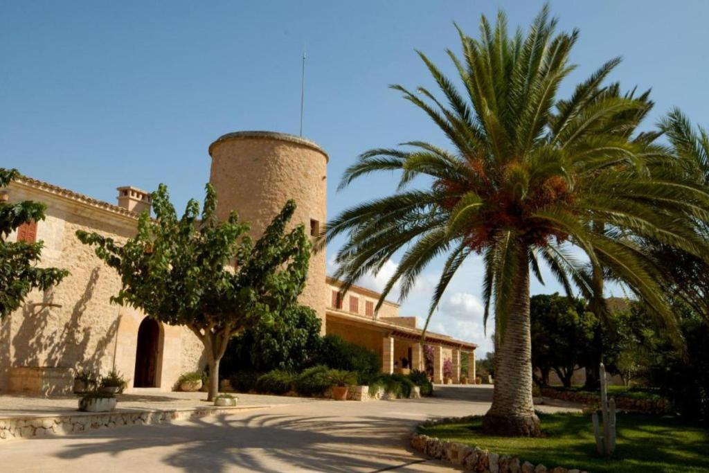 a palm tree in front of a building with a tower at Belle Son Mas Luxury Finca Hotel in Porto Cristo