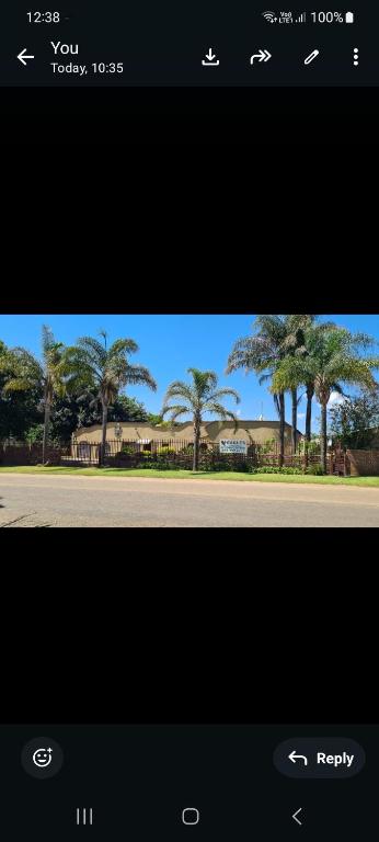 a screenshot of a phone screen with a palm tree at Eagles guest house Piet Retief in Piet Retief