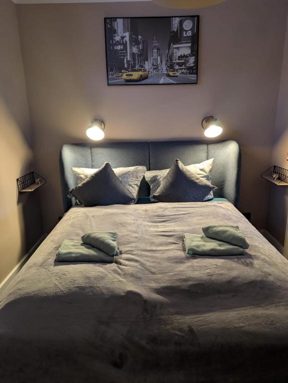 a bedroom with a bed with two pillows on it at Stadtnah an der Förde S1 in Flensburg