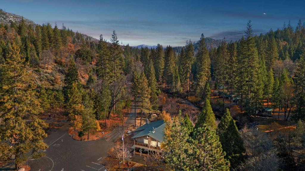 an aerial view of a house in the middle of a forest at Yosemite Lakes Cabin & Cottages in Harden Flat