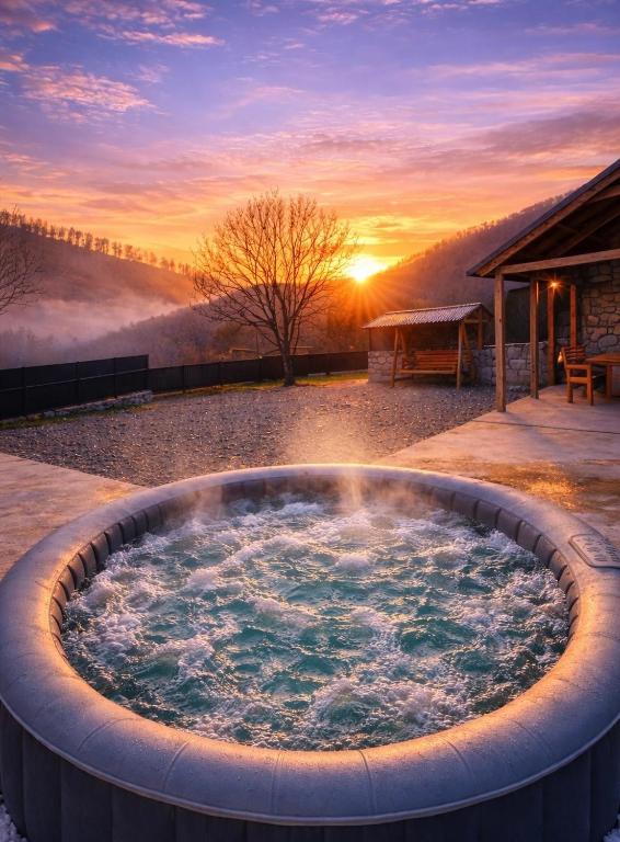 Jacuzzi Dream House