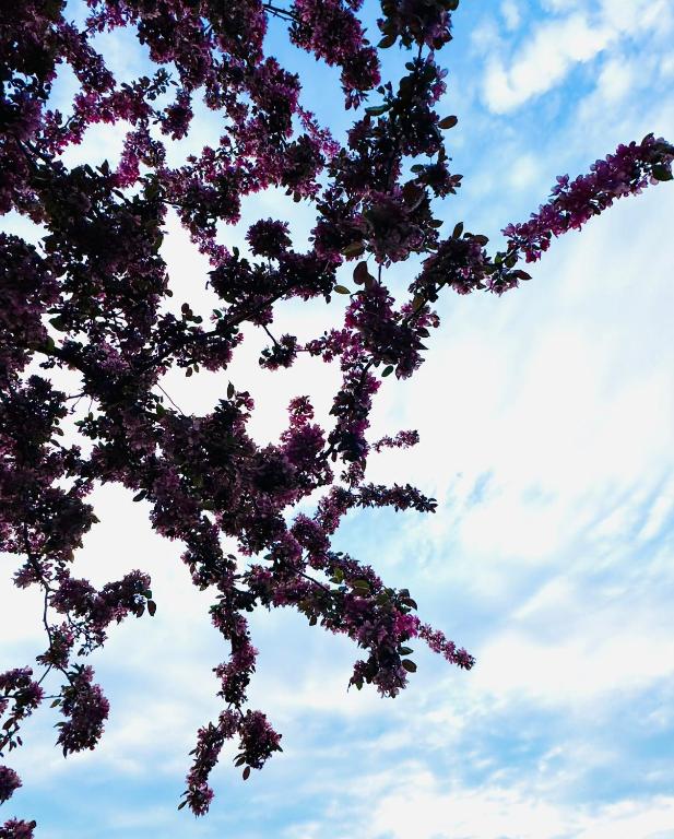 Suite Richovilare - Sauna & Hammam – photo 34