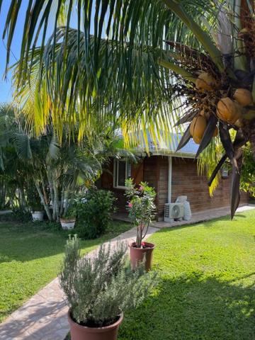 a house with a palm tree and plants in a yard at Coin tranquille in Sainte-Anne