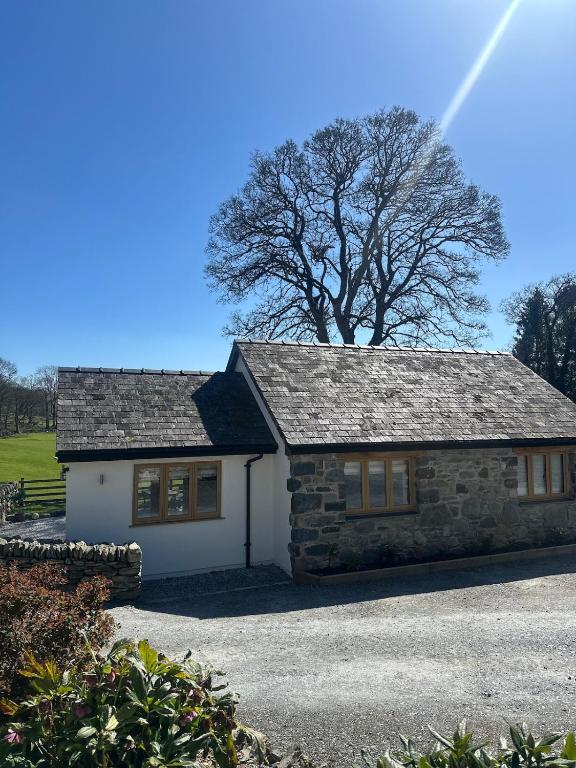 a stone cottage with a tree in the background at Y Beudy Bach in Llanfor