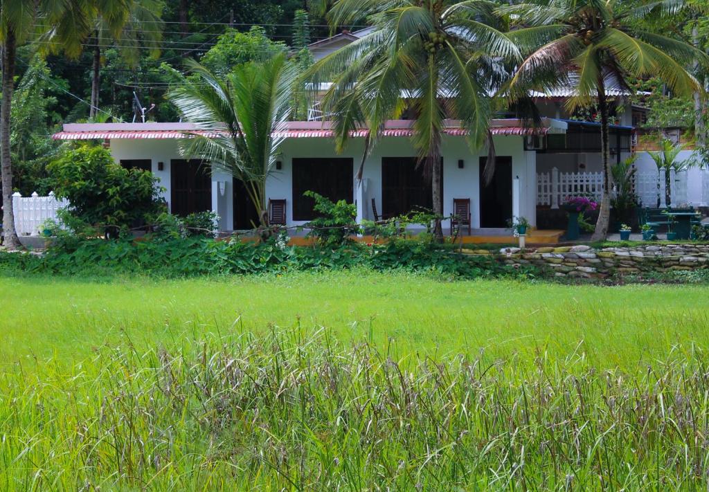 Zahrada ubytování Paddy Field View Resort