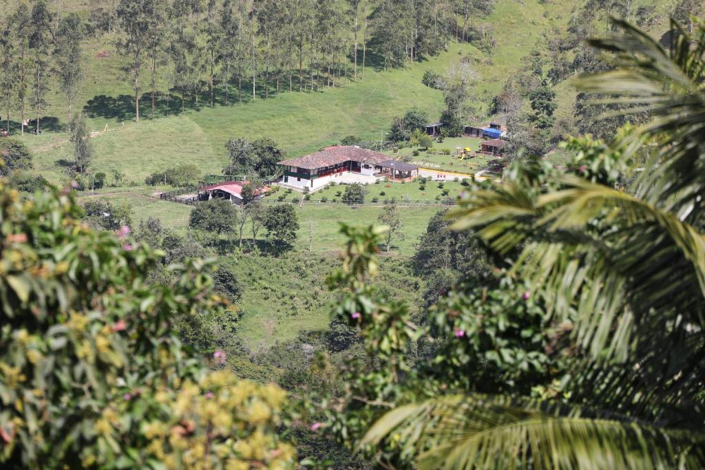 a house on top of a green hill with trees at Finca La Playa Ecohotel - Experiencia Campestre - in Salento