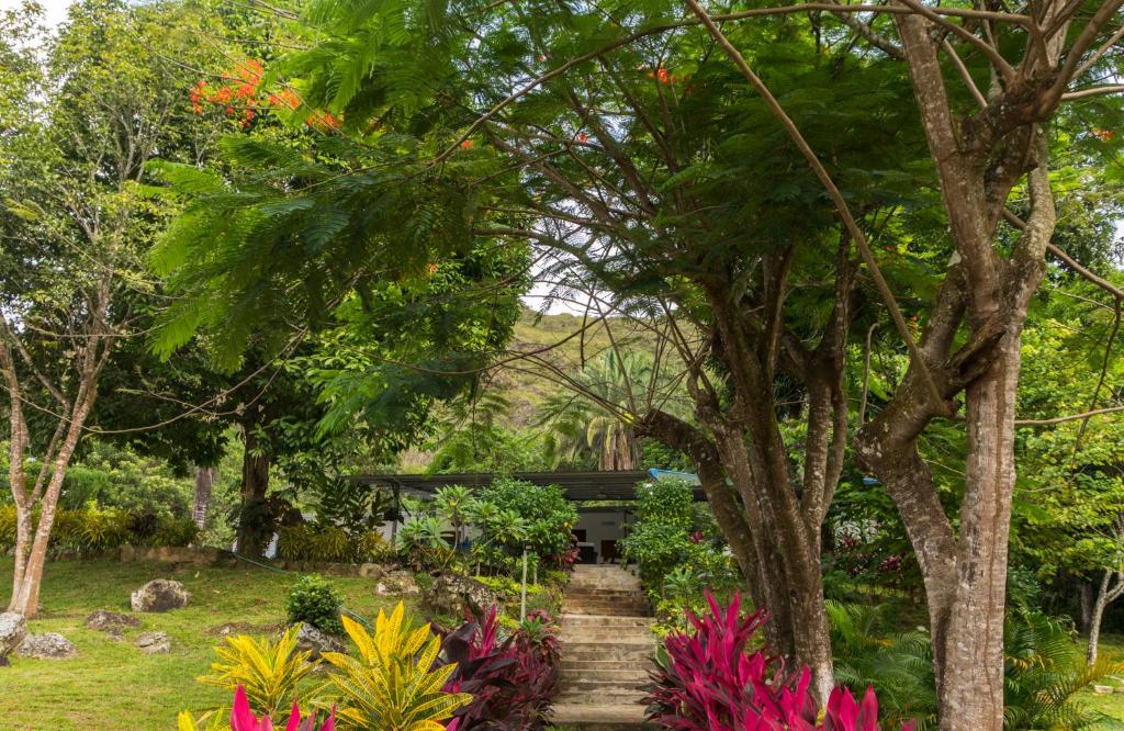 a path through a garden with flowers and trees at casa Lucerna in Prado
