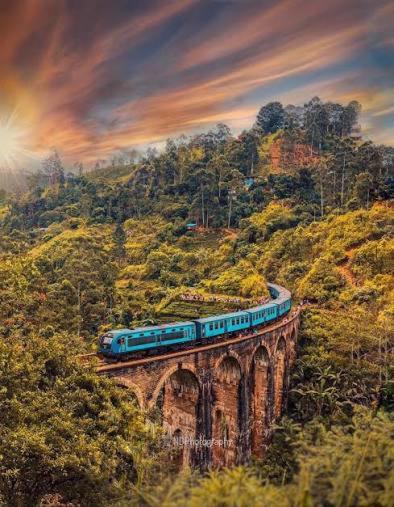 a train on a bridge on a mountain at Ella Field Side View Rooms & Cafe in Demodera