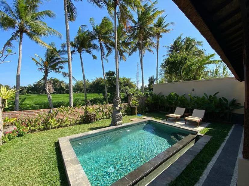 a swimming pool in a yard with palm trees at Shima Tunjung in Darmasaba
