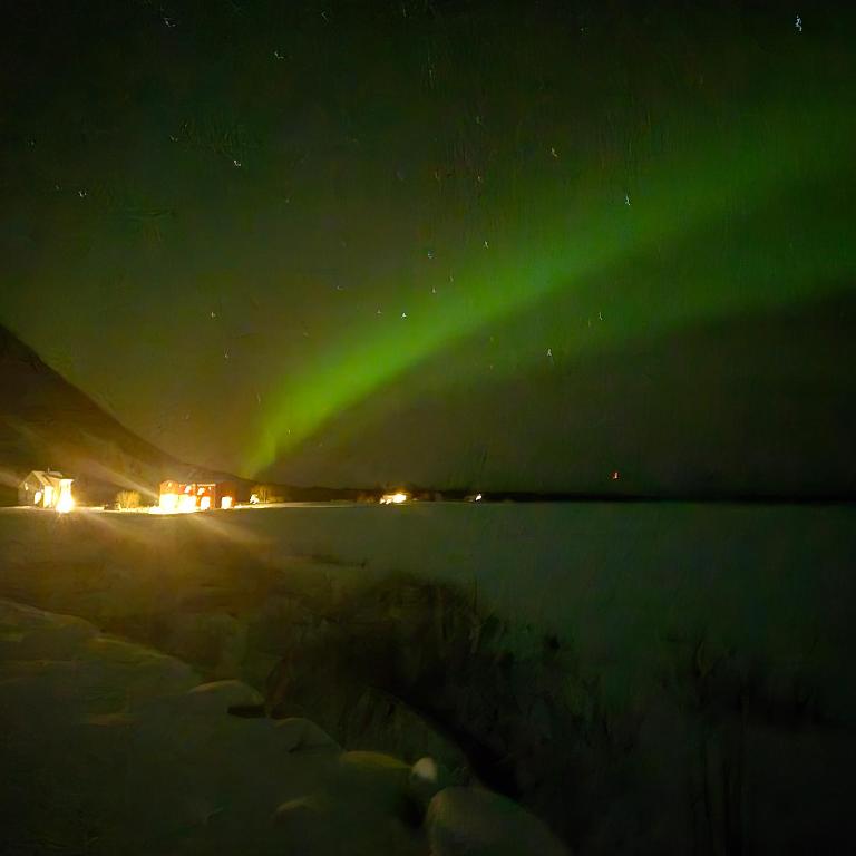 an aurora in the sky at night with snow at Lofoten Sunset Large Appartments in Valle