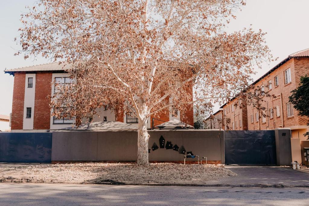 a tree sitting in front of a building at La Rona Hospitality Services in Rustenburg