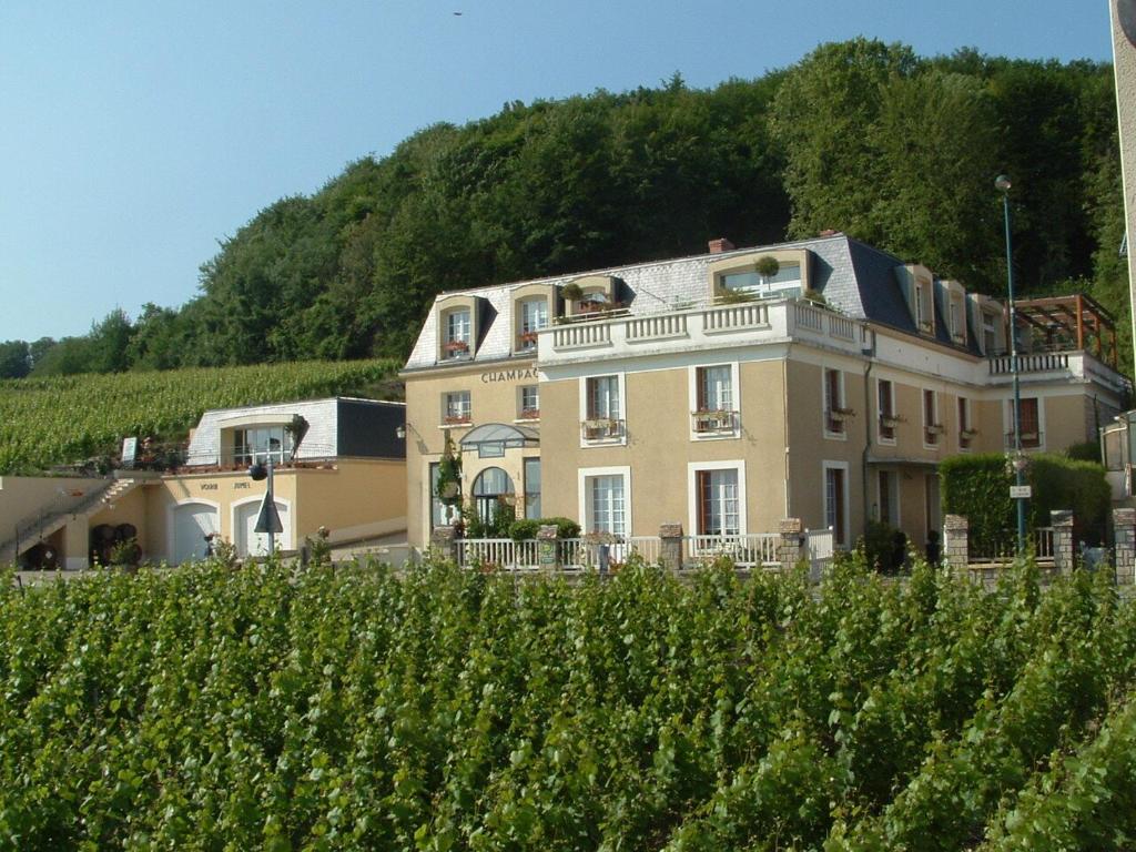a large house in front of a vineyard at VOIRIN Valérie in Cramant