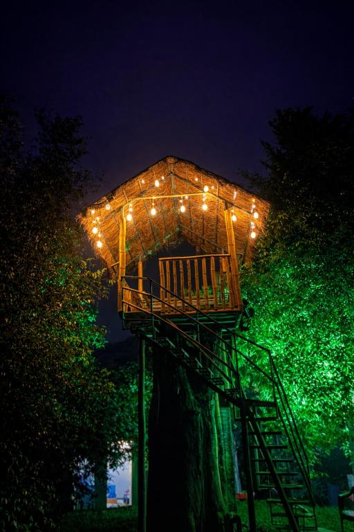 a tree house with lights on it at night at LASplore munnar in Kallar Vattiyar