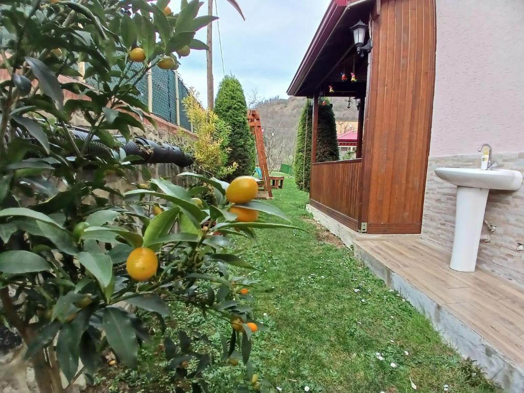 لابی و فضای عمومی Vinland Villa Atalar - تصویر ۵