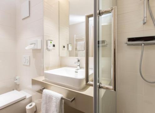 Hotel Kapuzinerhof - Habitación Doble Empresarial