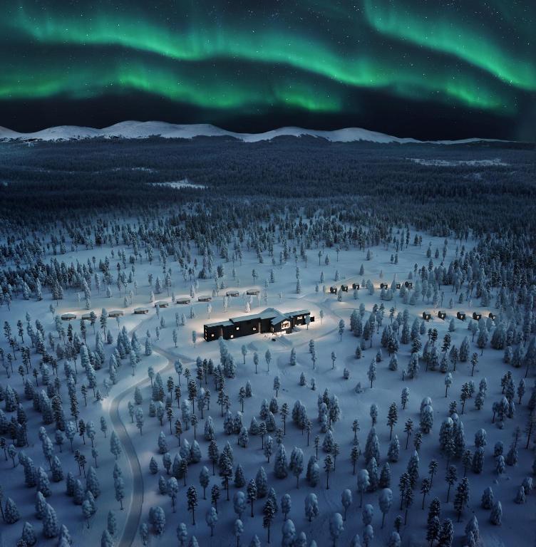 an aerial view of a forest under the aurora at Arcora Boutique Hotel & Villas in Muonio